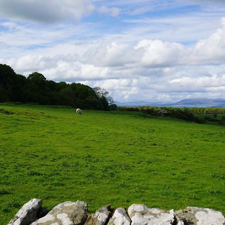 Roe Deer Lodge Newton Stewart Luaran gambar