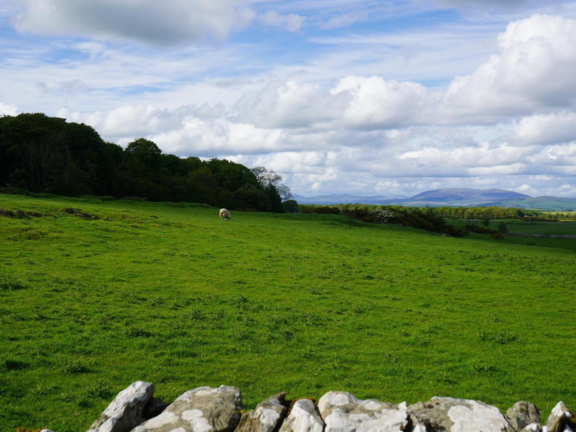 Roe Deer Lodge Newton Stewart Luaran gambar